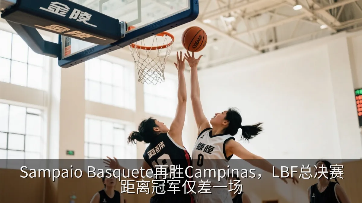 女子篮球比赛中球员在篮下争夺球权