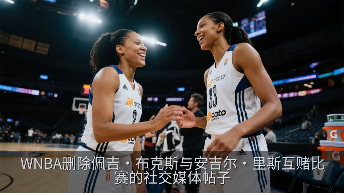 WNBA删除佩吉·布克斯与安吉尔·里斯互赌比赛的社交媒体帖子
